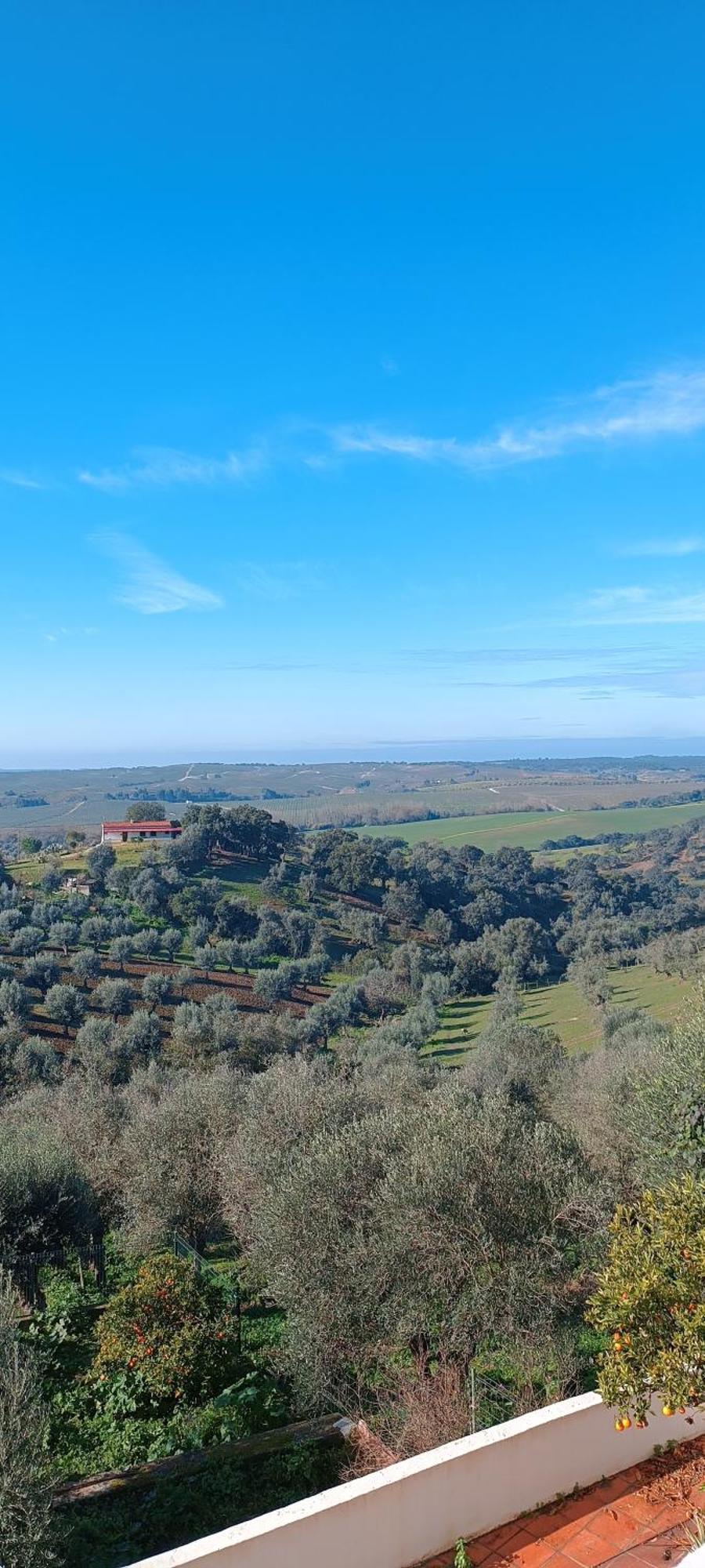 Casa D'alice Holiday home Seda